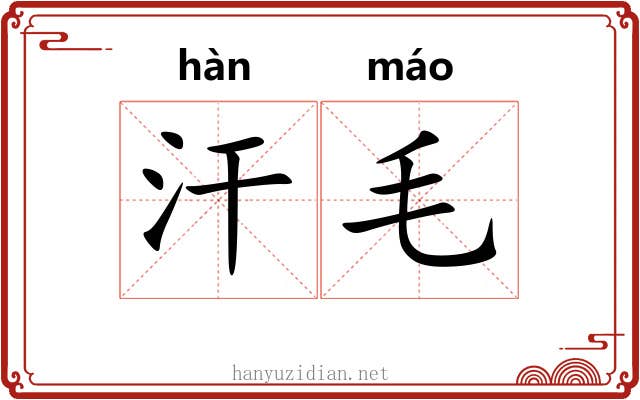 汗毛 汗毛