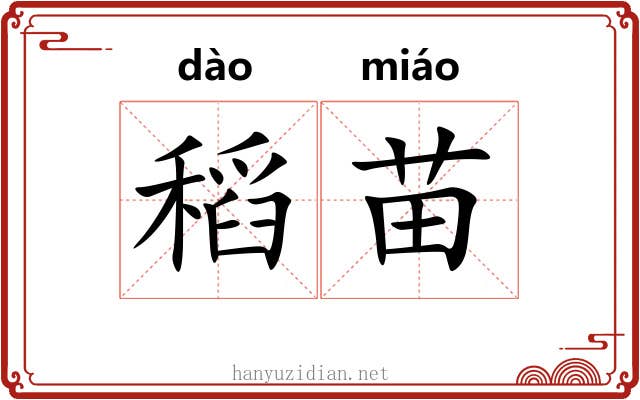 稻苗