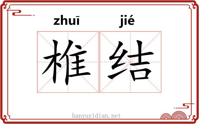 椎结 椎结