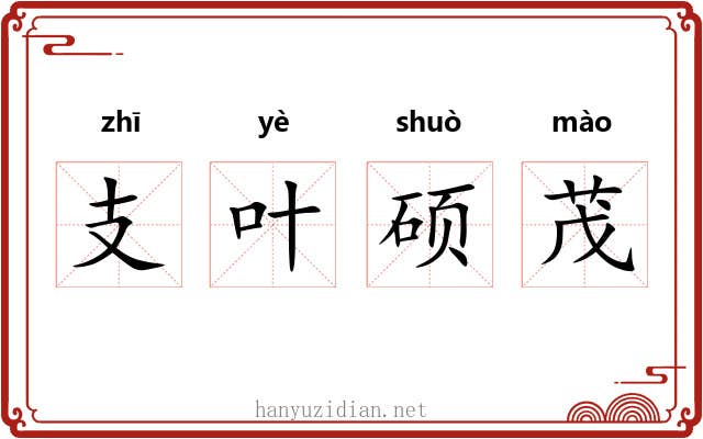 支叶硕茂 支叶硕茂