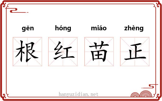 根红苗正 根红苗正
