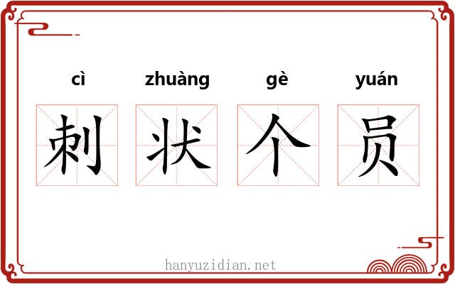 刺状个员