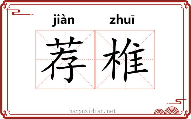 荐椎 荐椎