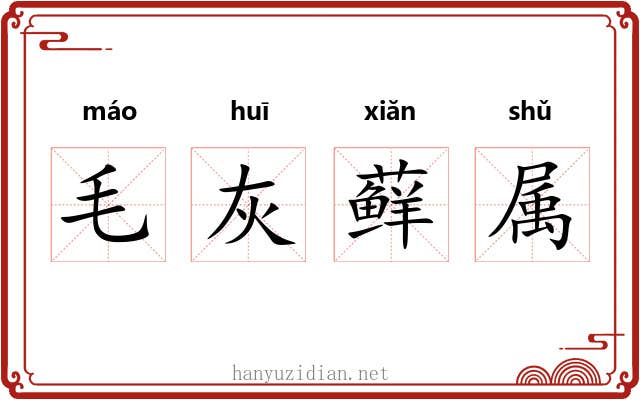 毛灰藓属 毛灰藓属