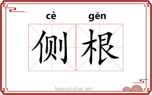 侧根 侧根