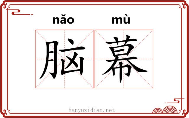 脑幕