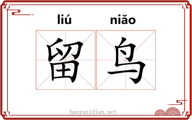 留鸟