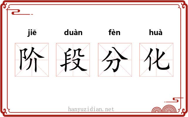 阶段分化 阶段分化