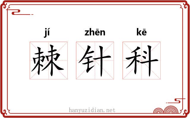 棘针科 棘针科