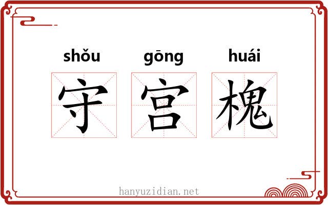 守宫槐 守宫槐