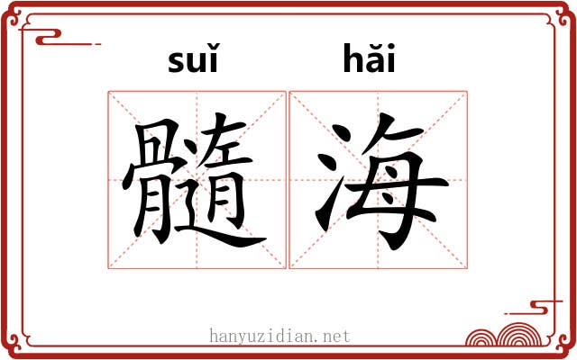 髓海