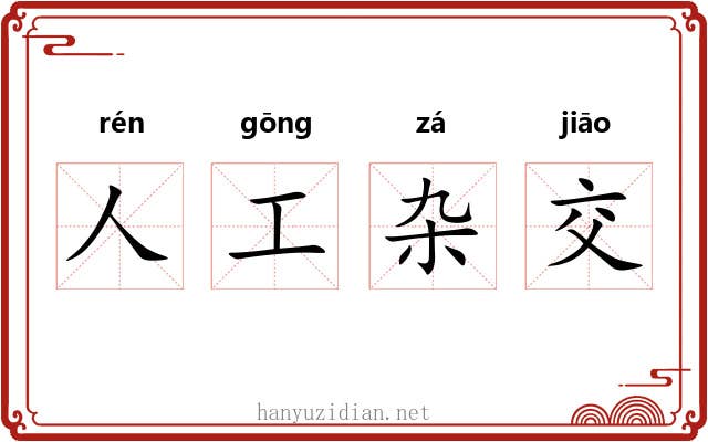 人工杂交 人工杂交