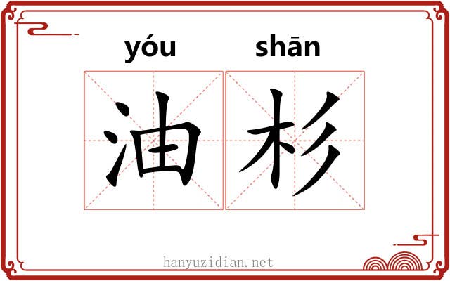 油杉