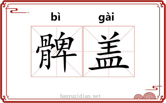 髀盖 髀盖