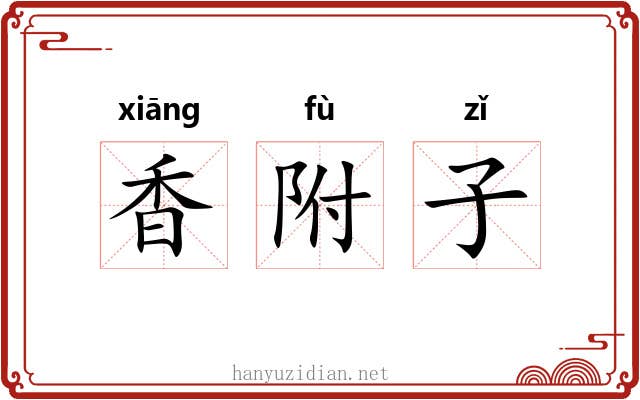 香附子 香附子