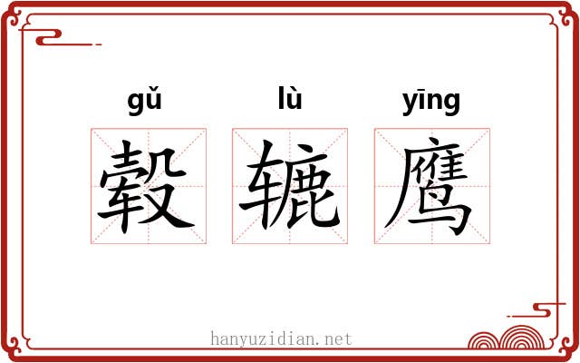 毂辘鹰