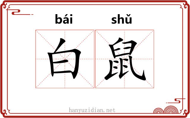 白鼠 白鼠