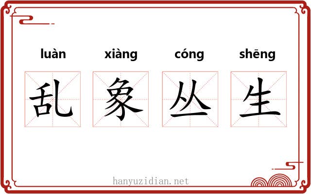 乱象丛生