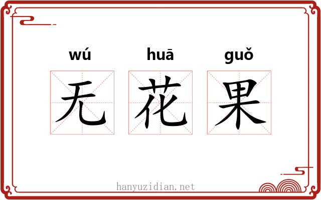 无花果 无花果