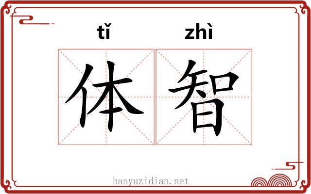 体智 体智
