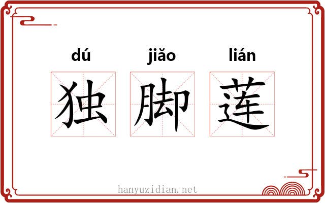独脚莲