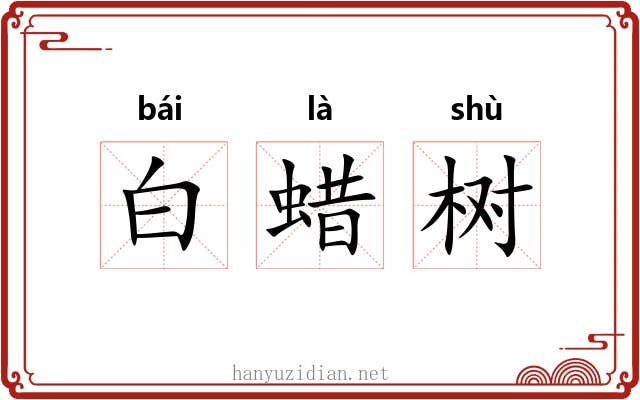 白蜡树