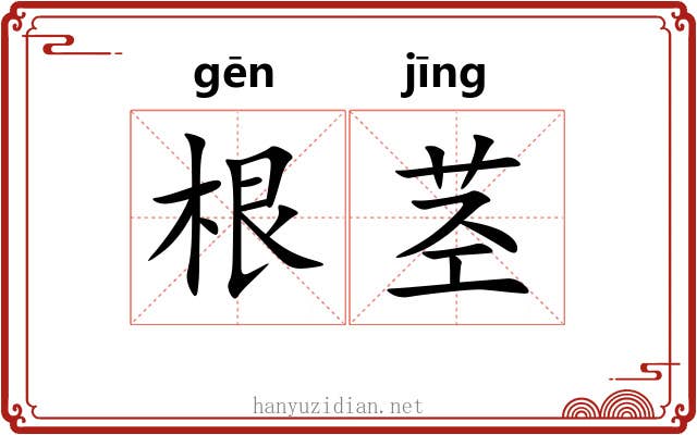 根茎 根茎