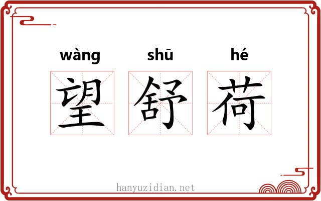 望舒荷 望舒荷
