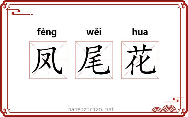 凤尾花