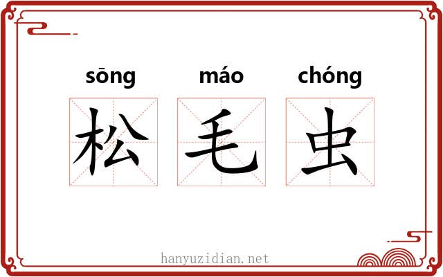 松毛虫 松毛虫