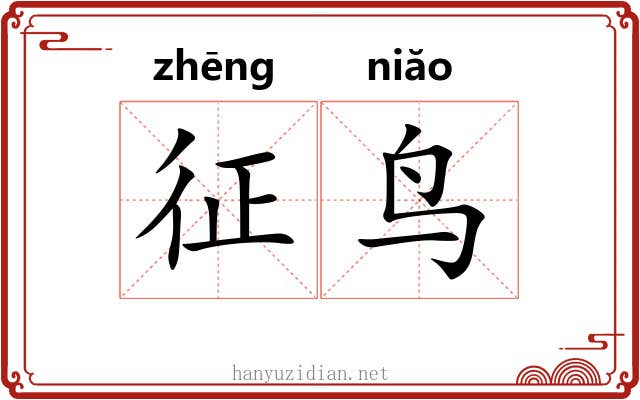 征鸟 征鸟