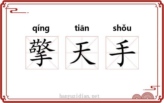 擎天手 擎天手