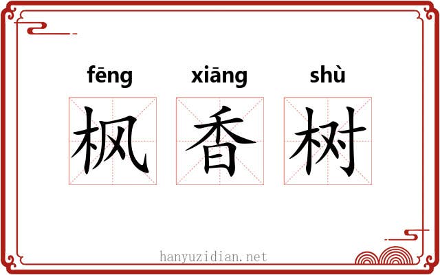 枫香树 枫香树