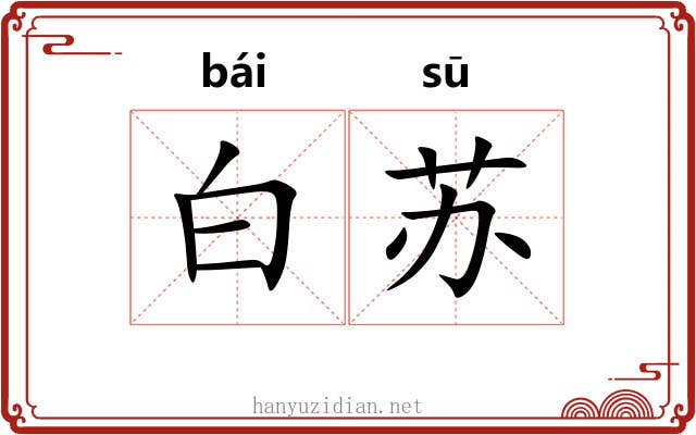 白苏 白苏