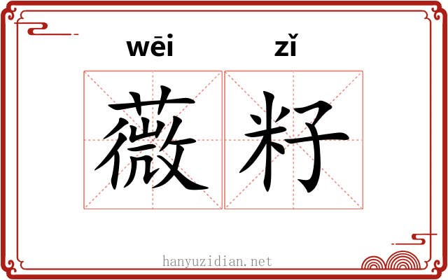 薇籽