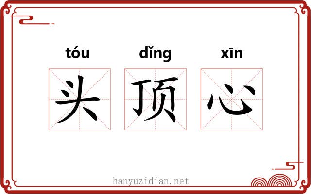 头顶心 头顶心