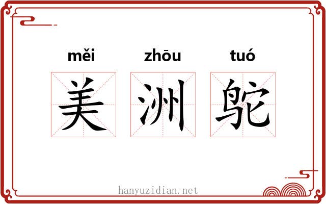 美洲鸵
