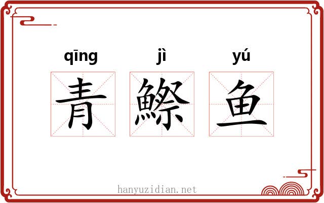 青鰶鱼 青鰶鱼