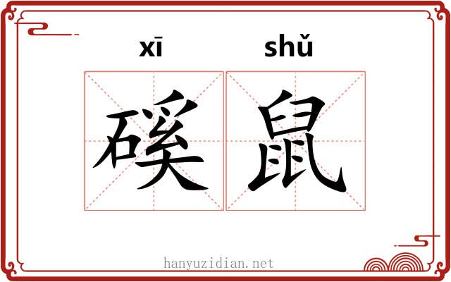 磎鼠