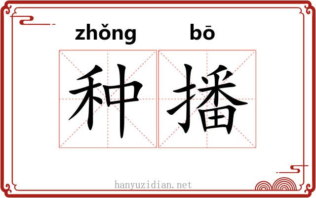 种播 种播