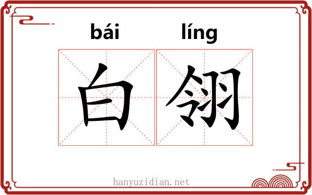 白翎 白翎