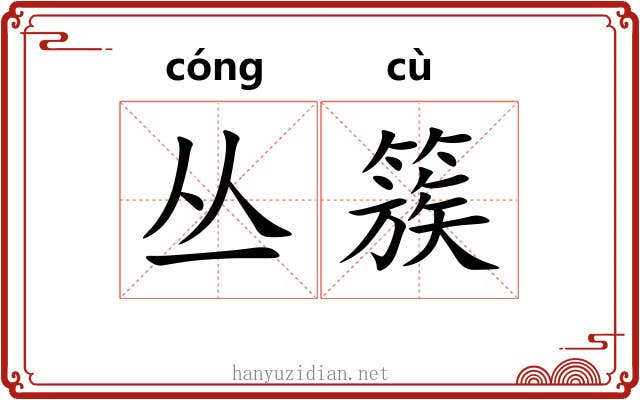 丛簇