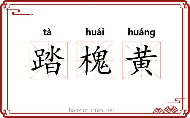 踏槐黄 踏槐黄