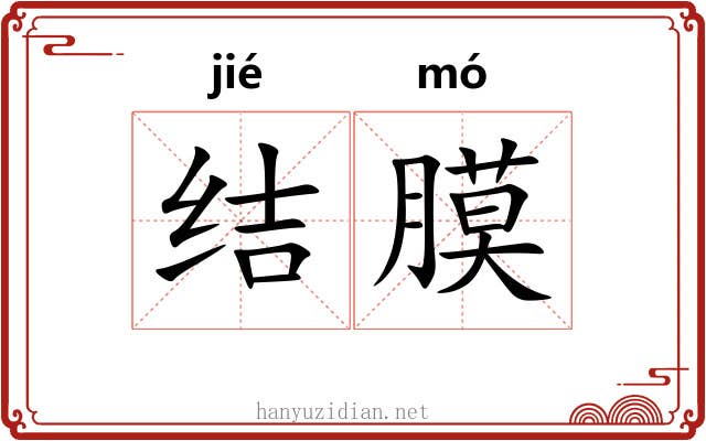 结膜