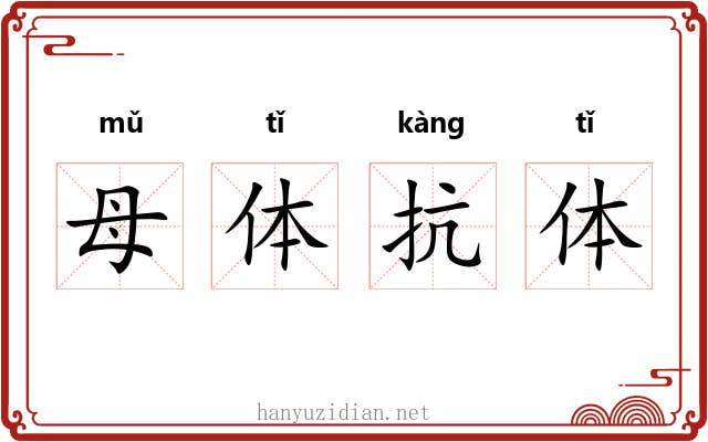 母体抗体 母体抗体