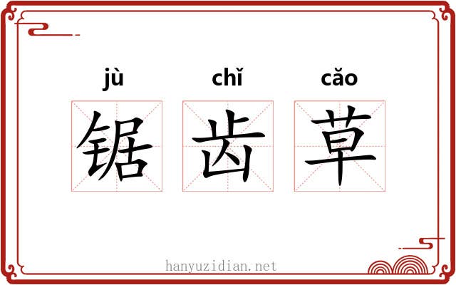 锯齿草
