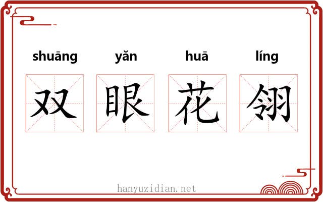 双眼花翎