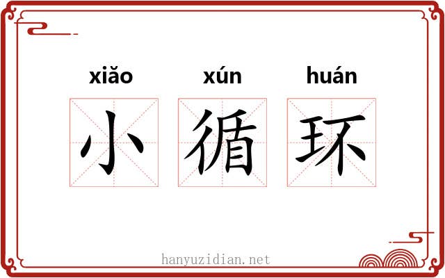 小循环 小循环