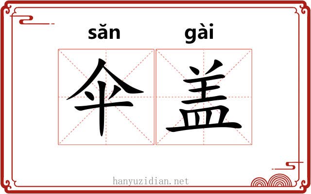 伞盖 伞盖