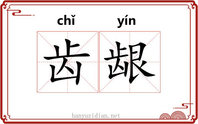 齿龈 齿龈
